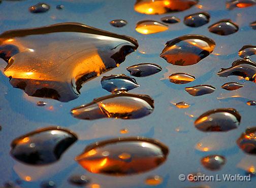 Amber Drops Of Rain_DSCF05713-5.jpg - Photographed at Smiths Falls, Ontario, Canada.